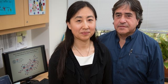 Professors Xia Yang and Fernando Gomez-Pinilla research featured in UCLA Newsroom