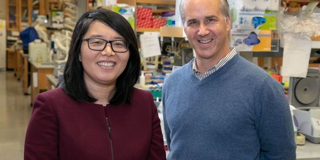 Professor Grace Xiao featured in UCLA Newsroom
