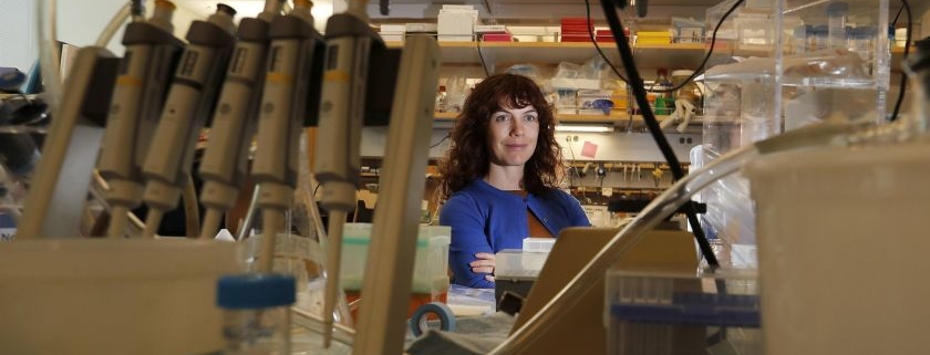 Professor Amy Rowat featured in the LA Times
