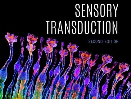 Professor Gordon Fain publishes new edition of his book Sensory Transduction