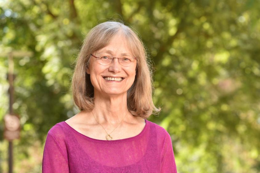 UCLA Professor Phelps Research Makes Cover of Experimental Neurology UCLA Professor Phelps Research Makes Cover of Experimental Neurology