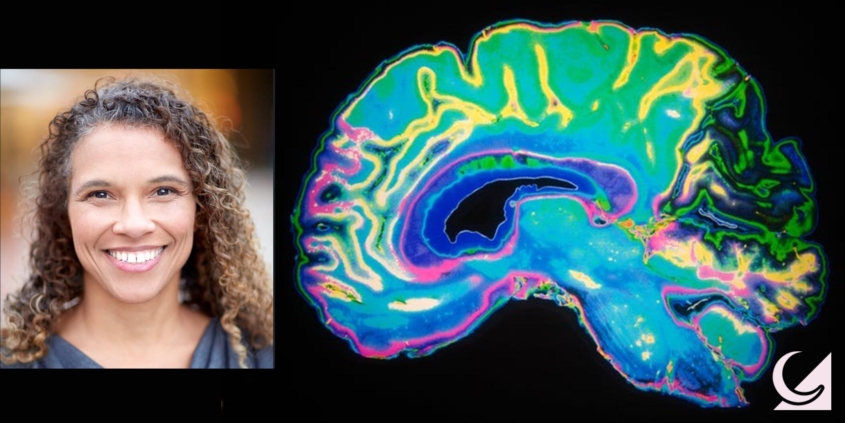 Professor Gina Poe – Multiverse: Your Brain on Sleep Professor Gina Poe – Multiverse: Your Brain on Sleep