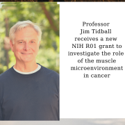 Professor Jim Tidball receives a new NIH R01 grant to investigate the role of the muscle microenvironment in cancer Professor Jim Tidball receives a new NIH R01 grant to investigate the role of the muscle microenvironment in cancer