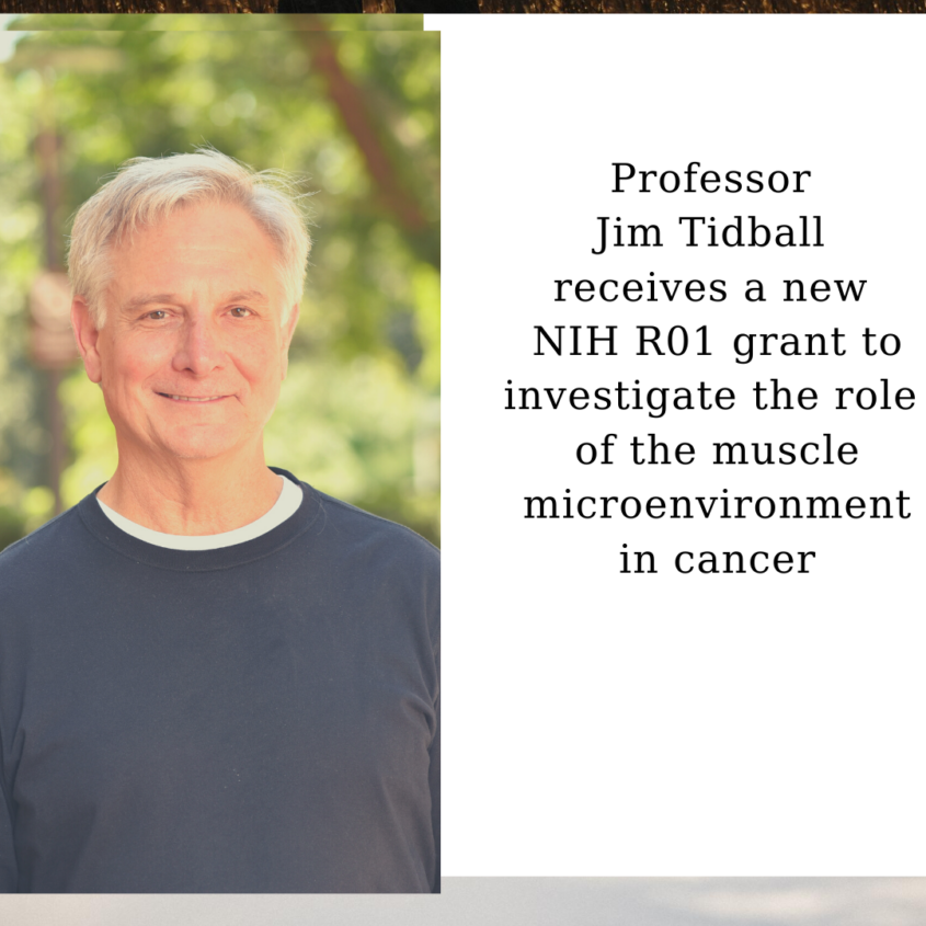 Professor Jim Tidball receives a new NIH R01 grant to investigate the role of the muscle microenvironment in cancer Professor Jim Tidball receives a new NIH R01 grant to investigate the role of the muscle microenvironment in cancer