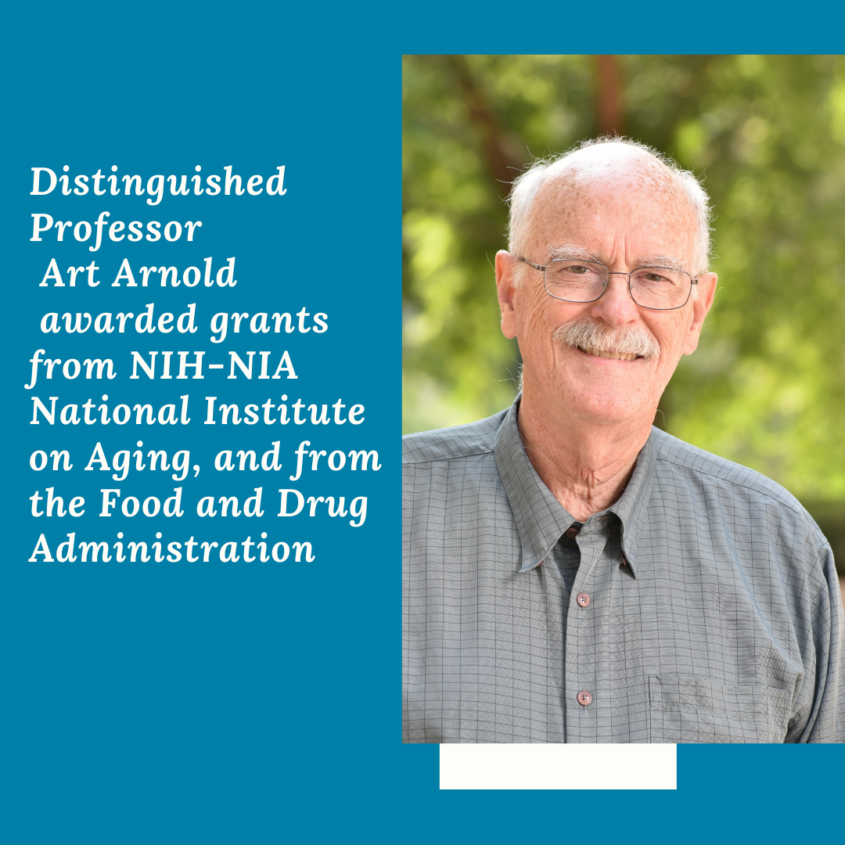 Distinguished Professor Art Arnold was awarded grants from NIH-NIA National Institute on Aging, and from the Food and Drug Administration Distinguished Professor Art Arnold was awarded grants from NIH-NIA National Institute on Aging, and from the Food and Drug Administration