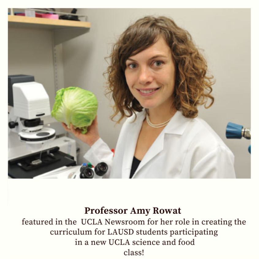 Professor Amy Rowat featured in the  UCLA Newsroom
