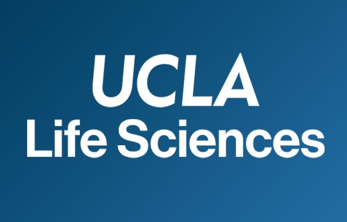 The Life Sciences Division at UCLA has an open rank faculty position available! The Life Sciences Division at UCLA has an open rank faculty position available!