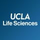 The Life Sciences Division at UCLA has an open rank faculty position available! The Life Sciences Division at UCLA has an open rank faculty position available!