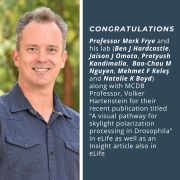 Congratulations to Professor Mark Frye and his lab (Ben J Hardcastle, Jaison J Omoto, Pratyush Kandimalla, Bao-Chau M Nguyen, Mehmet F Keleş and Natalie K Boyd) along with MCDB Professor, Volker Hartenstein for their recent publication! Congratulations to Professor Mark Frye and his lab (Ben J Hardcastle, Jaison J Omoto, Pratyush Kandimalla, Bao-Chau M Nguyen, Mehmet F Keleş and Natalie K Boyd) along with MCDB Professor, Volker Hartenstein for their recent publication!