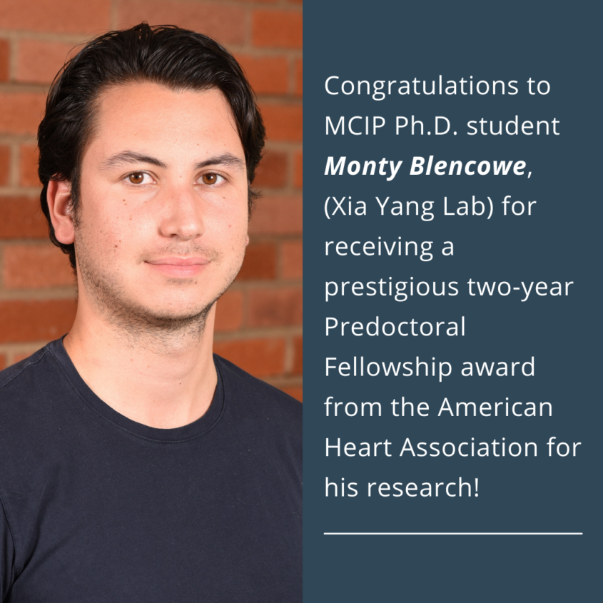 Congratulations to MCIP Ph.D. student. Monty Blencowe, (Xia Yang Lab) for receiving a prestigious two-year Predoctoral Fellowship award from the American Heart Association for his research! Congratulations to MCIP Ph.D. student. Monty Blencowe, (Xia Yang Lab) for receiving a prestigious two-year Predoctoral Fellowship award from the American Heart Association for his research!