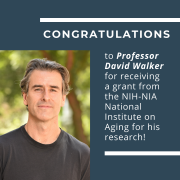 Congratulations to Professor David Walker for receiving a grant from the NIH-NIA National Institute on Aging for his research! Congratulations to Professor David Walker for receiving a grant from the NIH-NIA National Institute on Aging for his research!