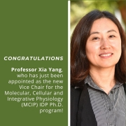 Congratulations Professor Xia Yang, who has just been appointed as the new Vice Chair for the Molecular, Cellular and Integrative Physiology (MCIP) IDP Ph.D. program! Congratulations Professor Xia Yang, who has just been appointed as the new Vice Chair for the Molecular, Cellular and Integrative Physiology (MCIP) IDP Ph.D. program!