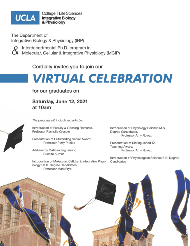 2021 IBP & MCIP Commencement Virtual Celebration 2021 IBP & MCIP Commencement Virtual Celebration