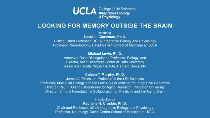 Looking for Memory Outside the Brain Looking for Memory Outside the Brain