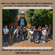The UCLA-HBCU Neuroscience Pathways Program has been awarded three years of funding from the University of California Office of the President (UCOP)