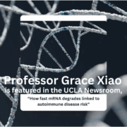 Professor Grace Xiao is featured in the UCLA Newsroom
