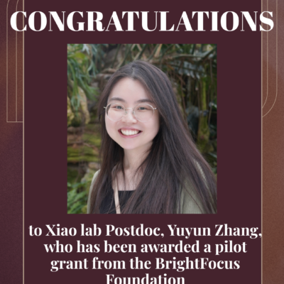 Xiao lab Postdoc, Yuyun Zhang, Receives Pilot Grant from BrightFocus Foundation and Alzheimer’s LA